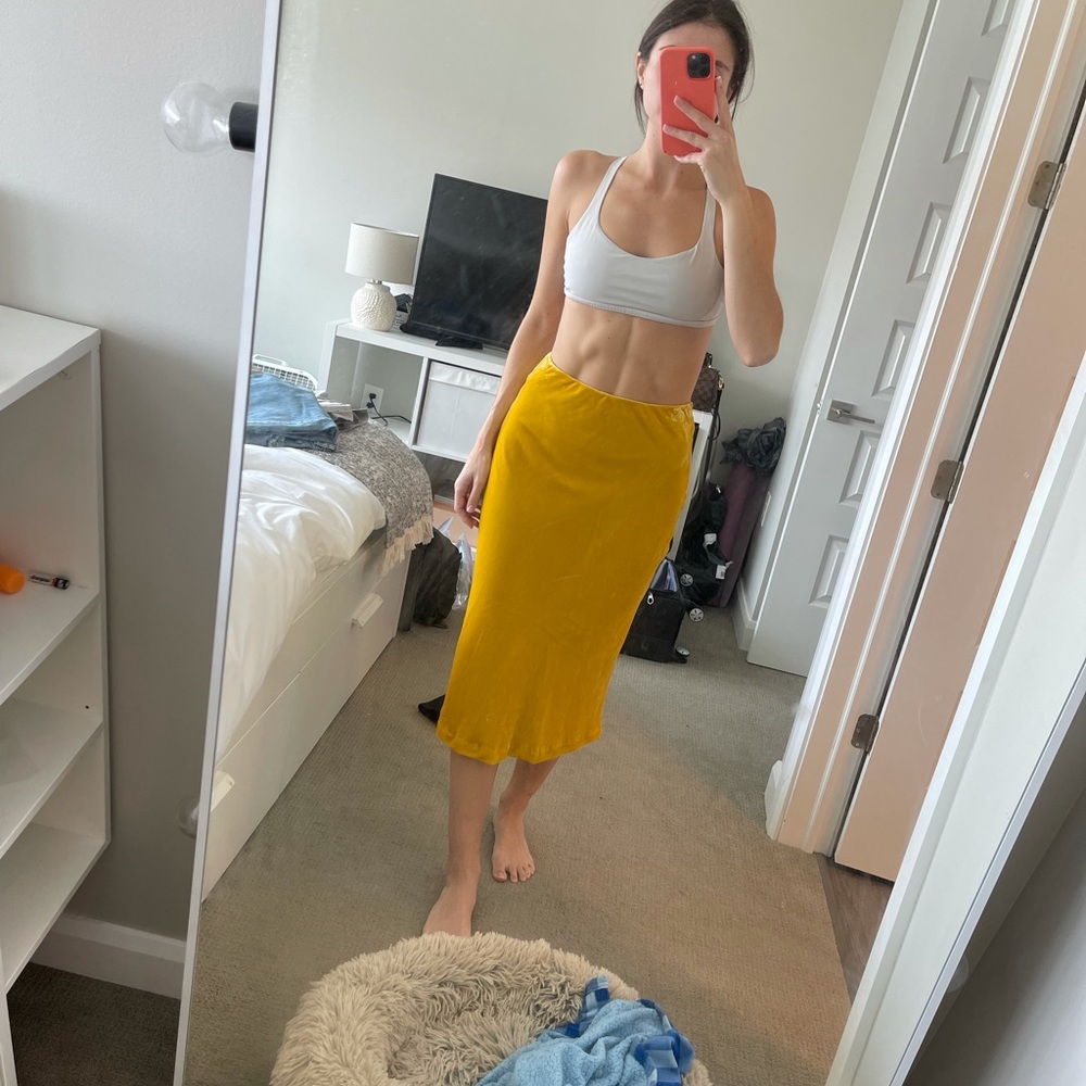 Anthropologie midi skirt